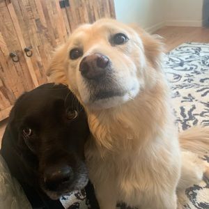 Meet your Posher, Kylee